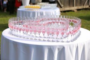 14708178_1225294374180940_6194459084913589595_n